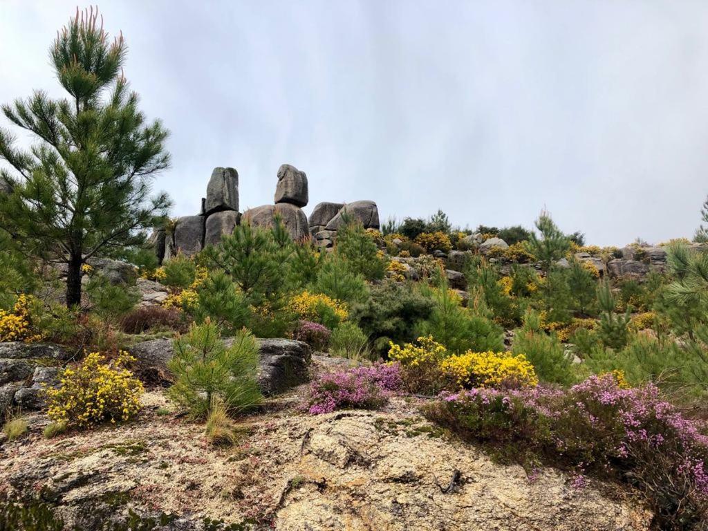 Quinta De Gestacos Villa Geres Exteriör bild